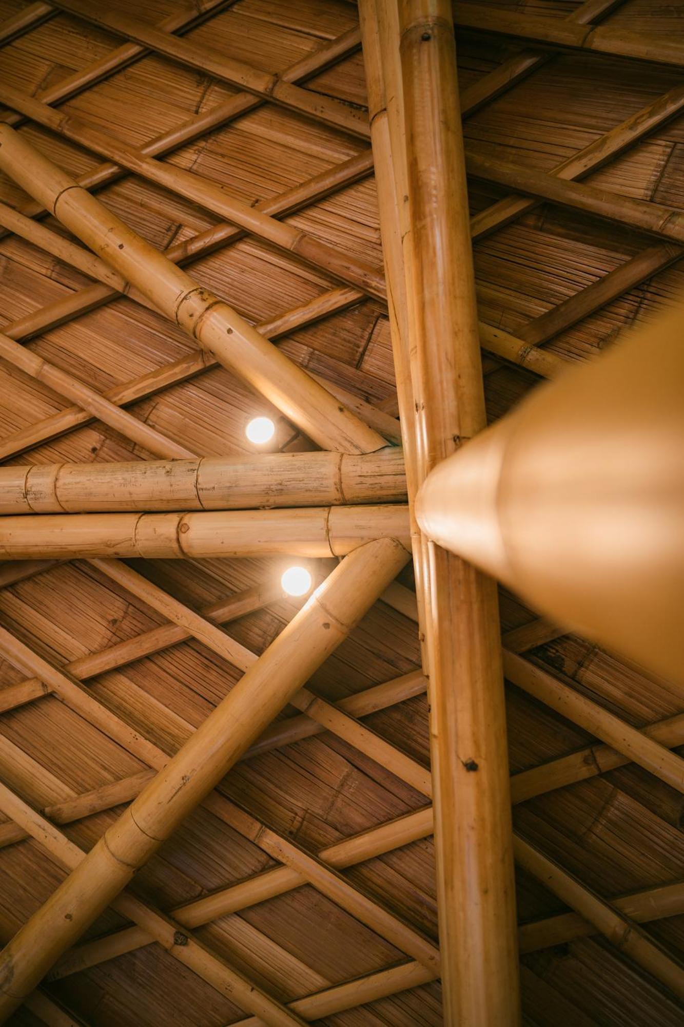 Вилла Alamvaya Bali Bamboo House Сидемен Экстерьер фото