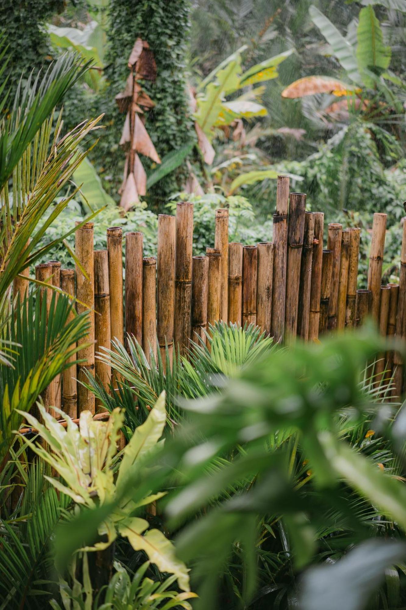 Вилла Alamvaya Bali Bamboo House Сидемен Экстерьер фото